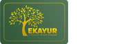 Ekayur Bio Products-A Natural Health Solution